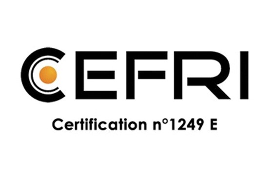 Logo CERFI