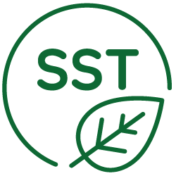 Organisation QSE SST.png