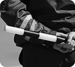 Armes de catégorie D